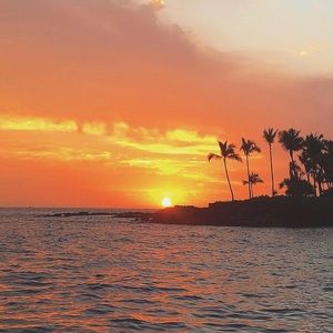 Meet your Posher, Yamilet